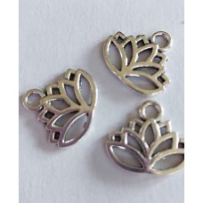 Charm Nickel